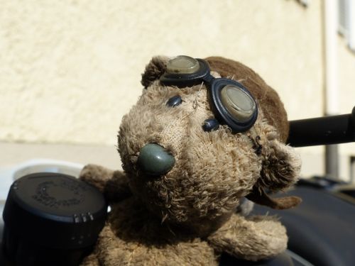 bear motorcycle glasses