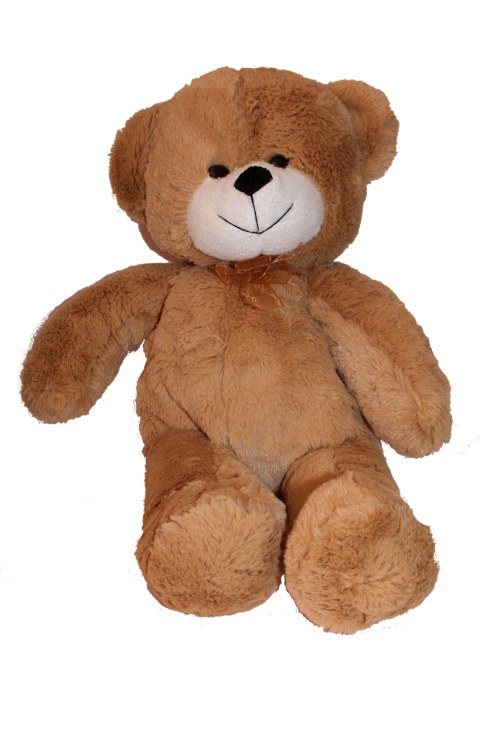 bear teddy png