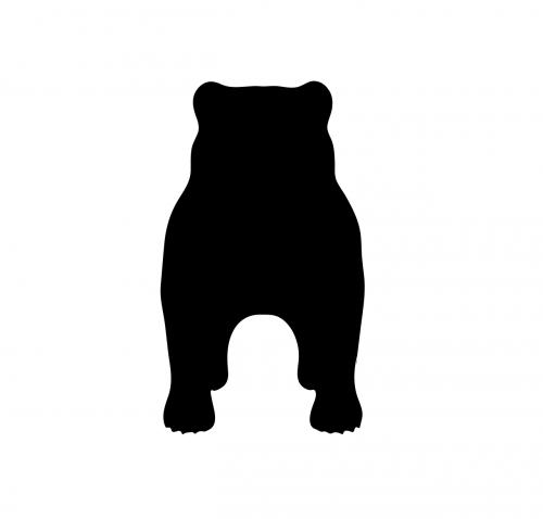 bear large heavy