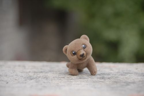 bear toy tenderness