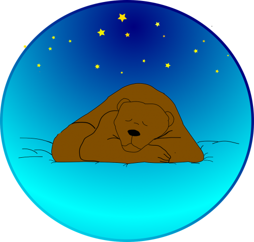 bear sleeping sky