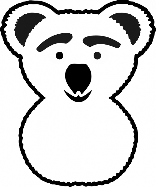 bear koala cute