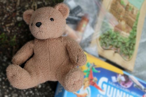 bear toys teddy