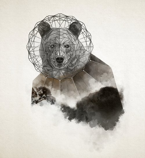 bear  geometric  animal