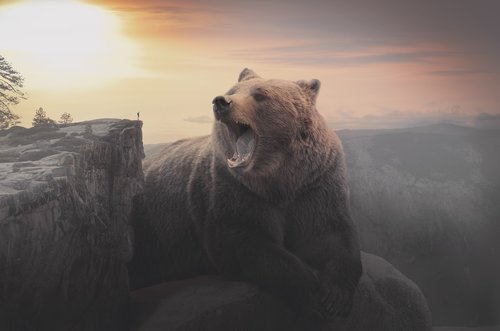 bear  giant  huge