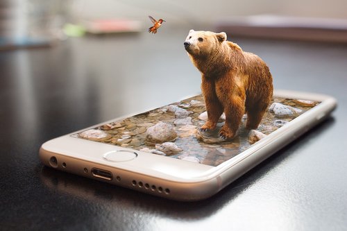 bear  cellular  phone