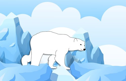 bear  polar  antarctica