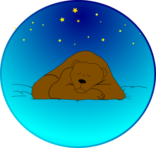 bear sleeping under
