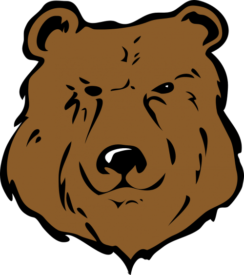 bear head brown