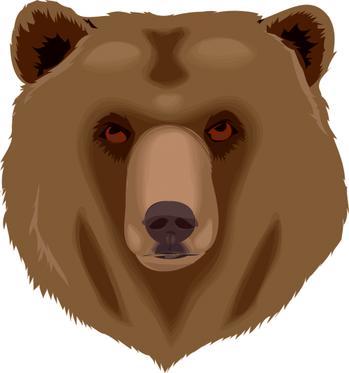 bear face head