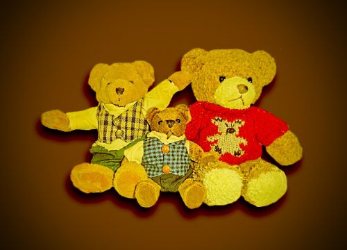 bear teddy bear brown bear