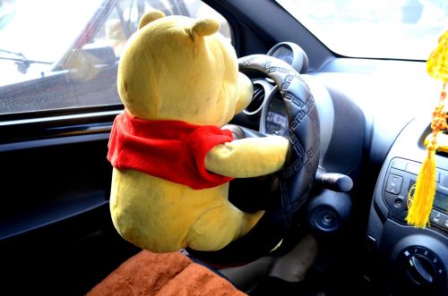 Bear Driving