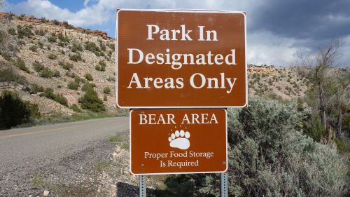 bears warning warning sign