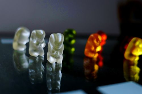 bears colorful eat