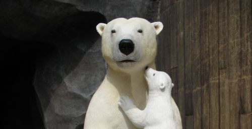 bears polar bears mother bear