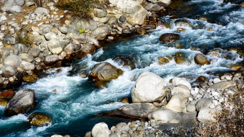 beas river river beas