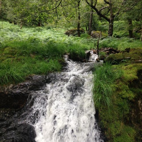 beautiful rural waterfall