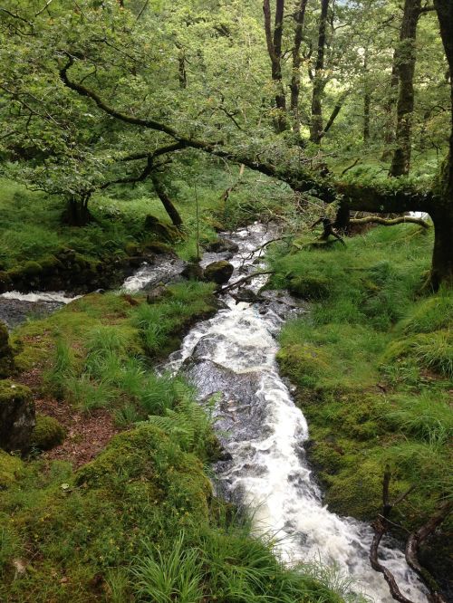 beautiful rural waterfall