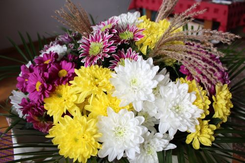 beautiful cheerful flowers