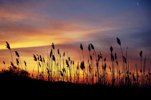 beautiful sunset colors