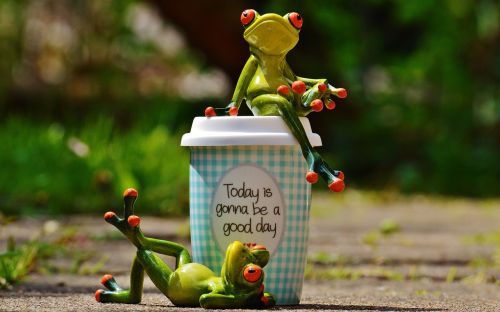 beautiful day joy frog