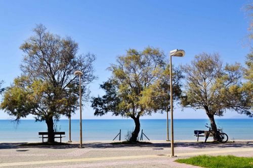 beautiful landscape seascape trees by the sea