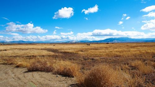 beautiful landscape of colorado golden autumn blue sky