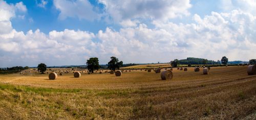 Beautiful Landscape, Panorama