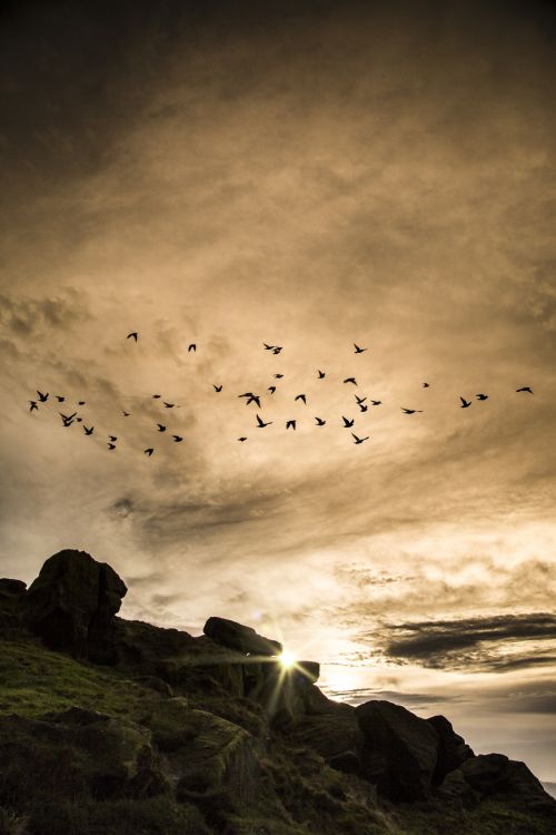Beautiful Sunset And Flocks Of Bird