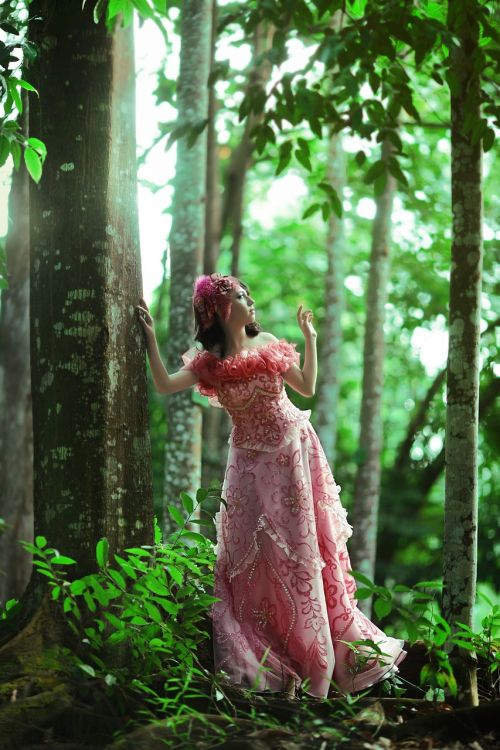 beautiful woman dress forest