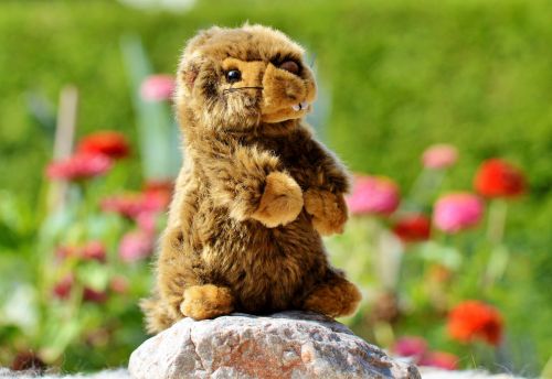 beaver stuffed animal toys