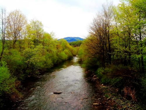 Becva River In Spring