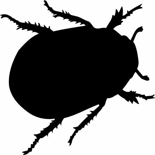 Bedbug Silhouette