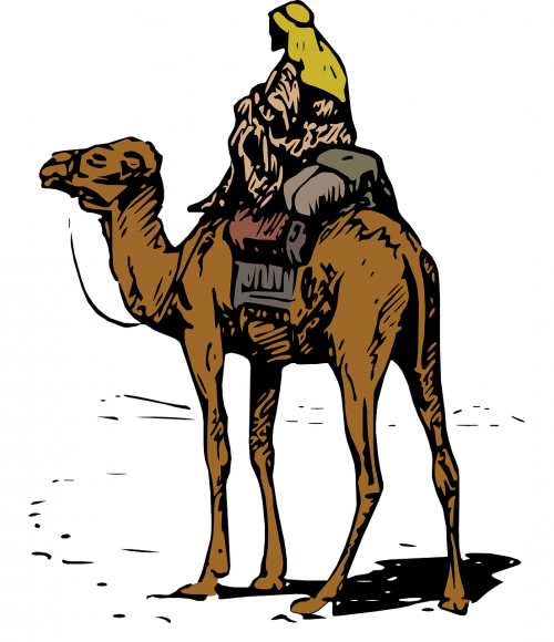 bedouin desert camel