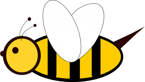 bee insect 2d