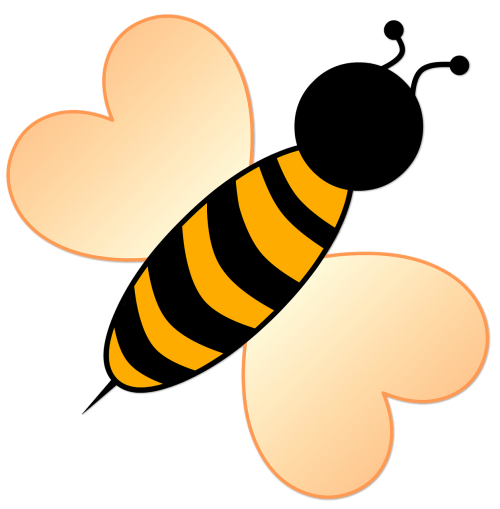 bee insect animal