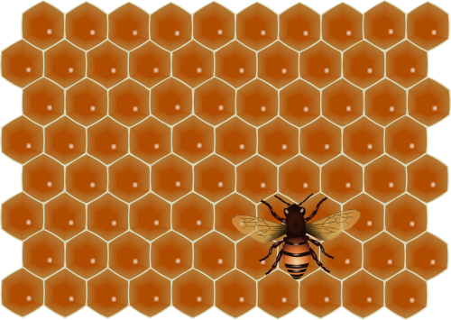 bee social honeycomb