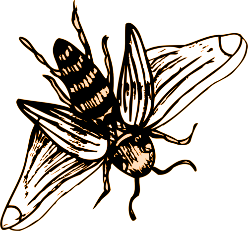 bee stripes wings