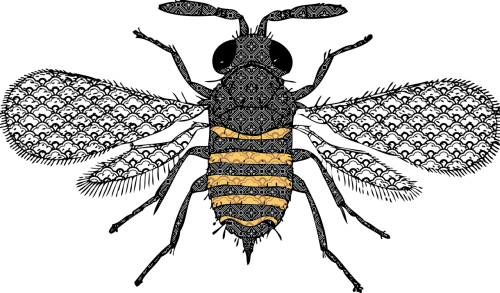 bee insect decorative