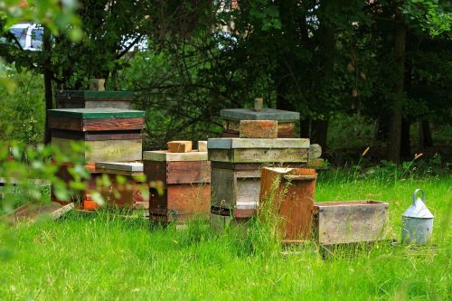 beehive beehives outdoors