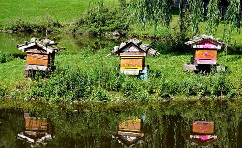 beehive  bee house  mirroring