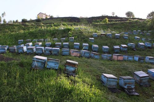 beekeeping hive mountain