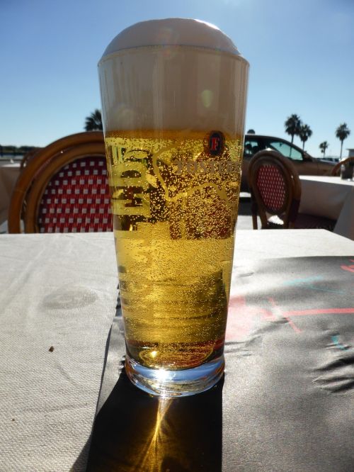 beer summer sunny