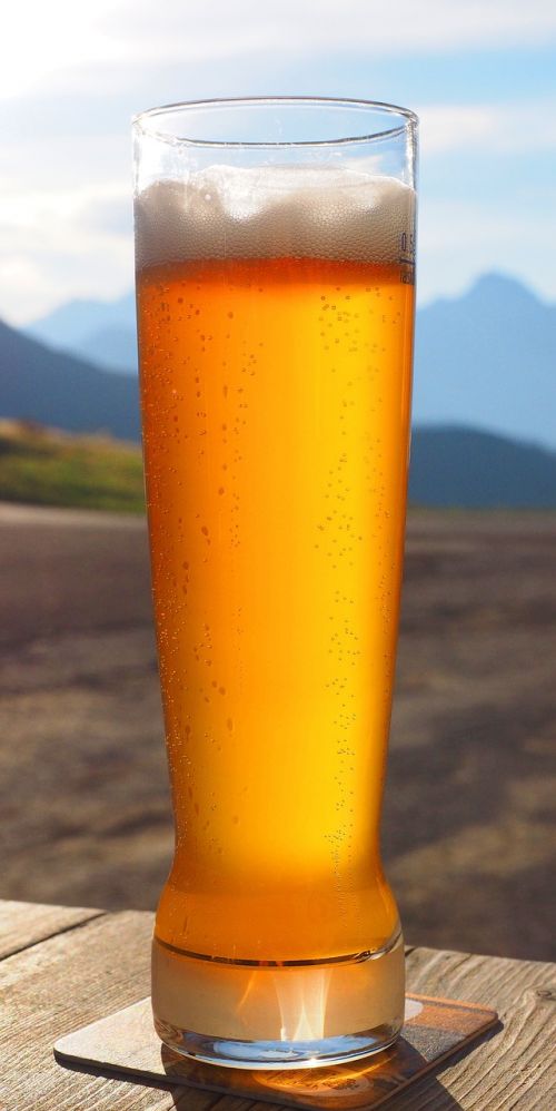 beer wheat beer beer glass