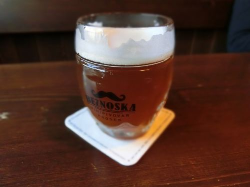 beer glass refreshment