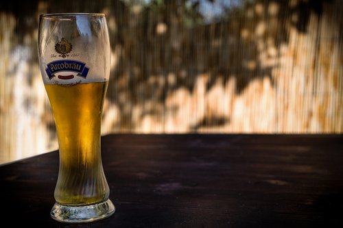 beer  glass  hop