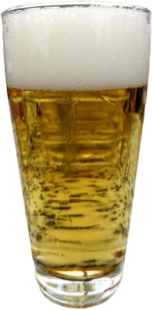 beer glass isolated beer