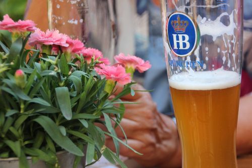 beer glass beer bavaria