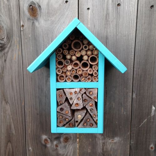 bees pollinators bee house