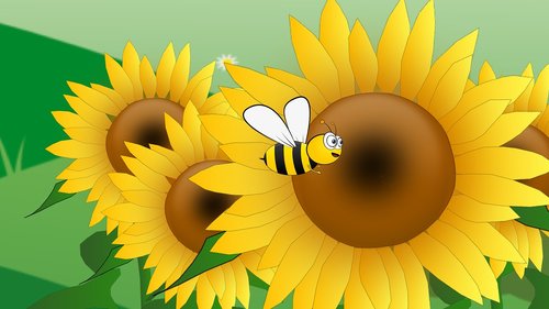 bees  flower  sunflowers